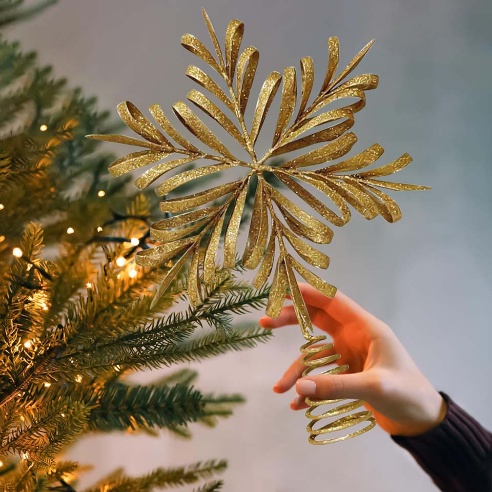 Star Christmas Tree Topper Hol - Star Tree Topper 评论和价格